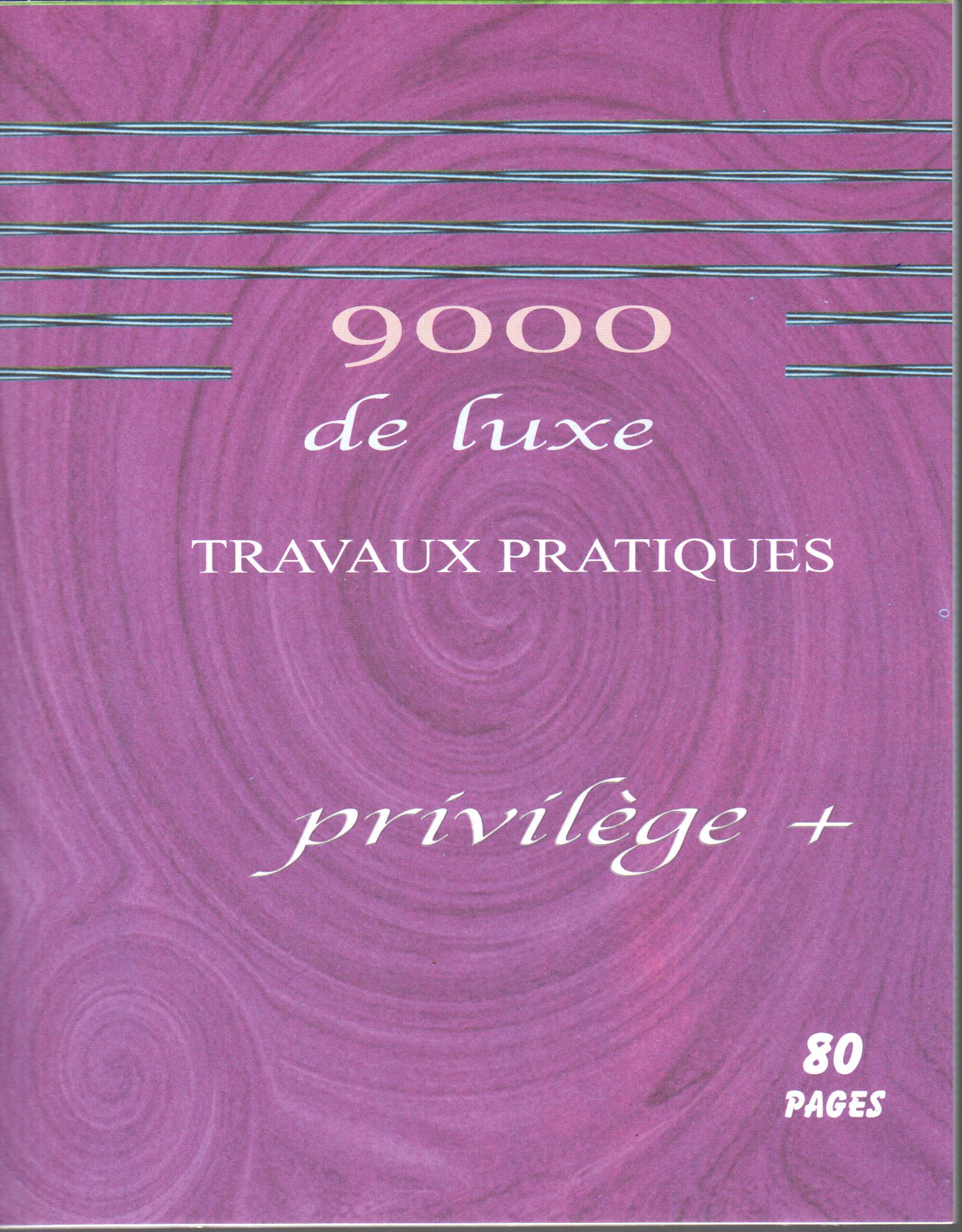 Cahier TP petit format 80p Privilège